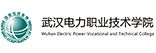 武汉电力